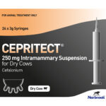 Cepritect 250 mg Intramammary Suspension for Dry Cows