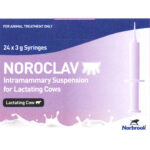 Noroclav Intramammary Suspension